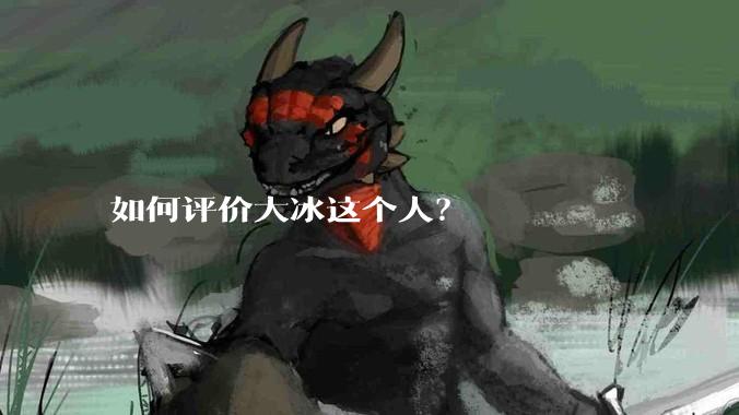 如何评价大冰这个人？