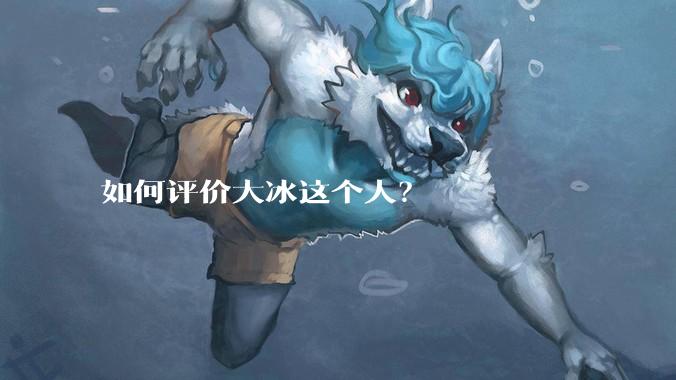 如何评价大冰这个人？
