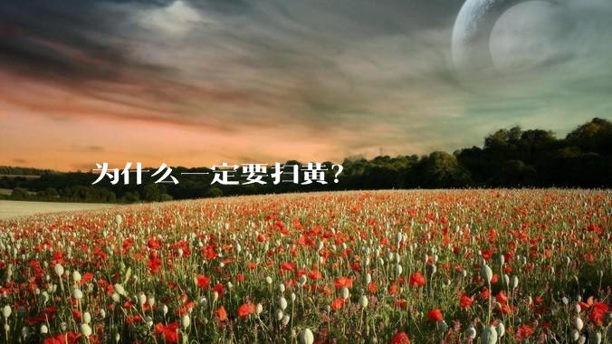 为什么一定要扫黄？