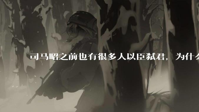 司马昭之前也有很多人以臣弑君，为什么现在会认为司马昭开了弑君的坏头?