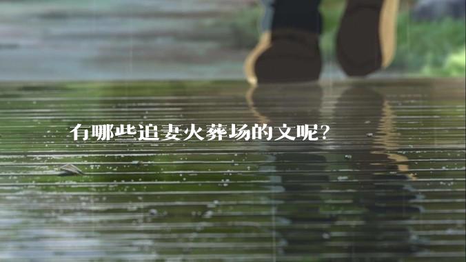 有哪些追妻火葬场的文呢？