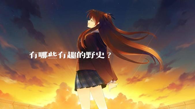 有哪些有趣的野史?