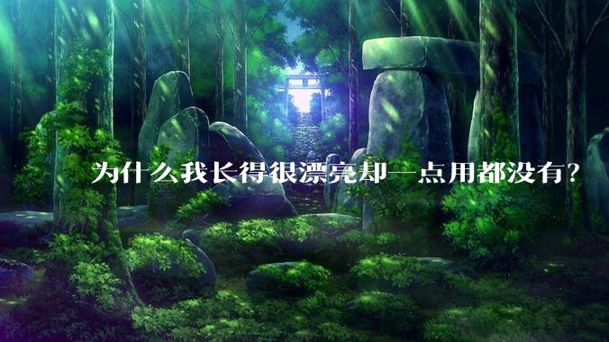 为什么我长得很漂亮却一点用都没有？