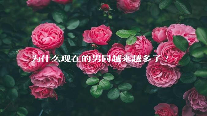 为什么现在的男同越来越多了?