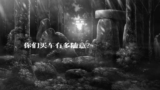 你们买车有多随意？