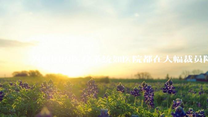为何国内医疗系统如医院都在大幅裁员降薪？