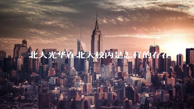 北大光华在北大校内是怎样的存在？