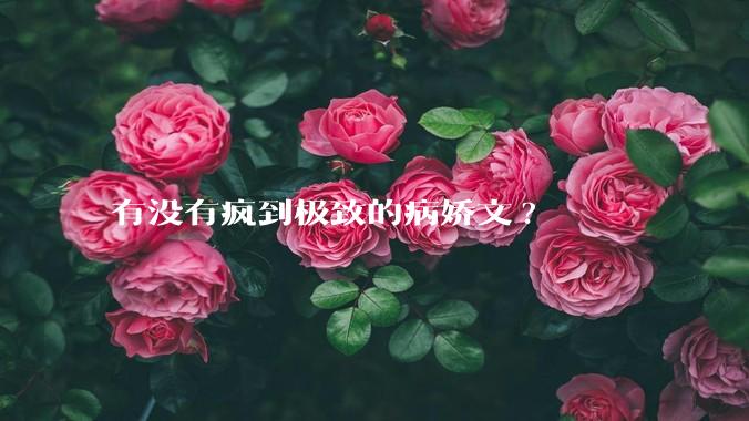 有没有疯到极致的病娇文?