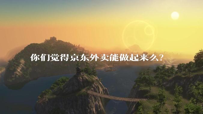 你们觉得京东外卖能做起来么？