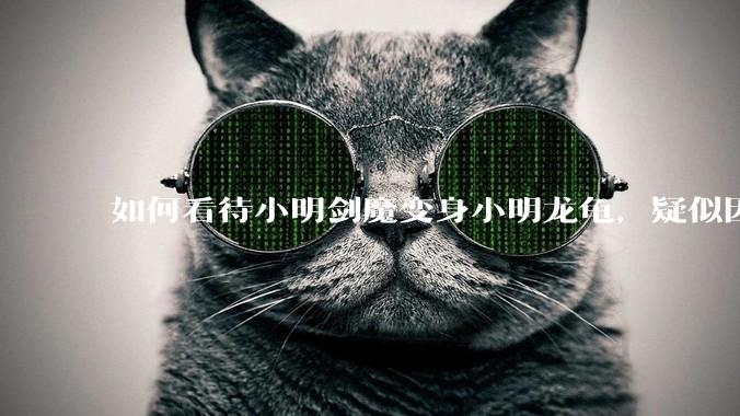 如何看待小明剑魔变身小明龙龟，疑似因为财产问题引发离婚风波？