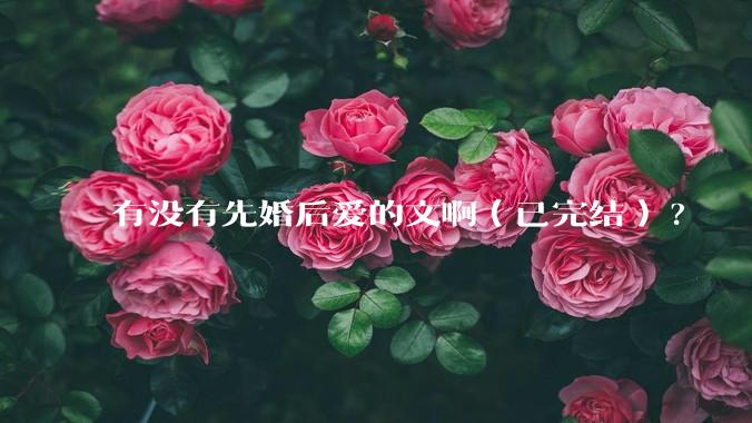 有没有先婚后爱的文啊（已完结）?