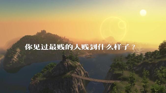 你见过最贱的人贱到什么样子?