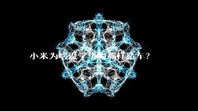小米为啥没学华为那样造车？