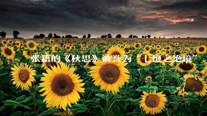 张籍的《秋思》被誉为“七绝之绝境”，这首诗好在哪里？