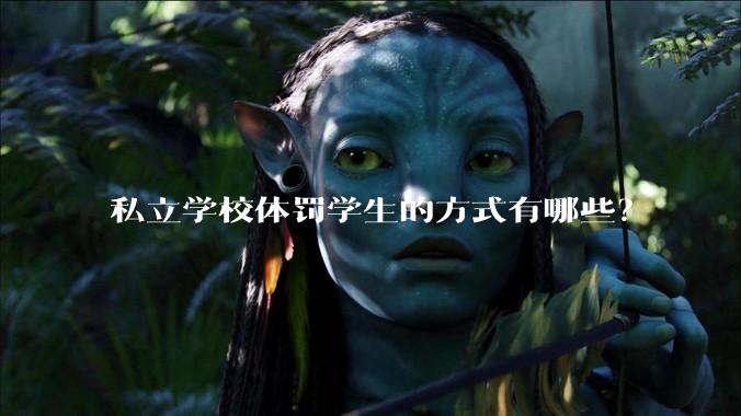 私立学校体罚学生的方式有哪些？