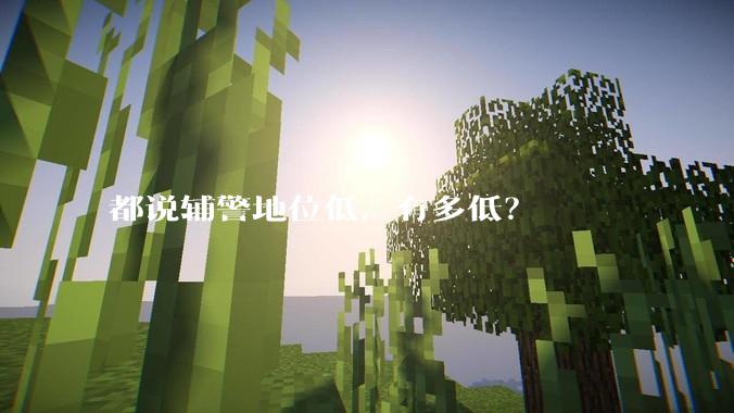 都说辅警地位低，有多低？