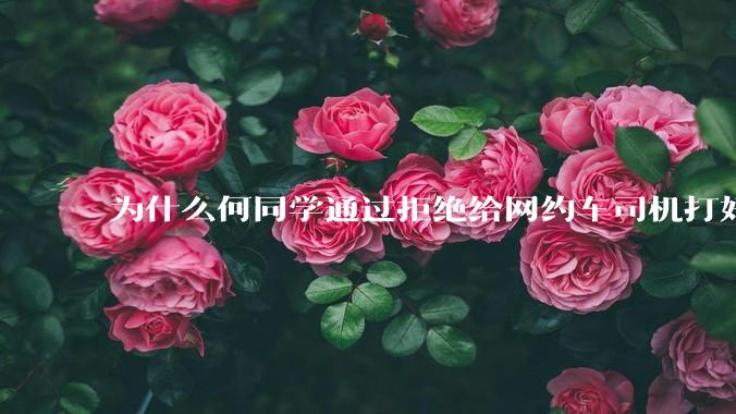 为什么何同学通过拒绝给网约车司机打好评来「锻炼真诚和勇气」的行为会翻车，以至于大家都在喷？