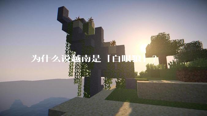 为什么说越南是「白眼狼」？