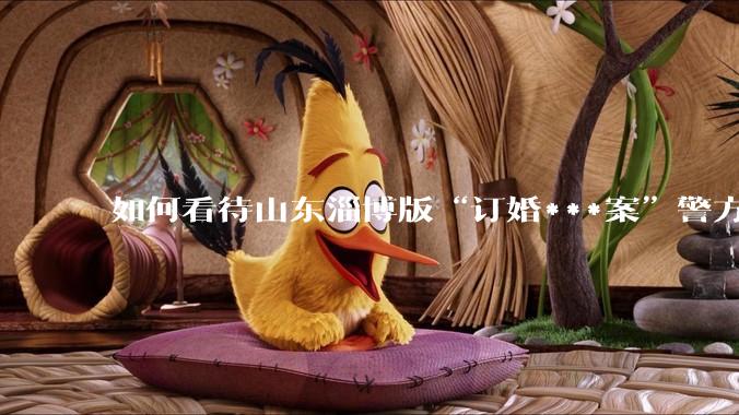 如何看待山东淄博版“订婚***案”警方撤案？