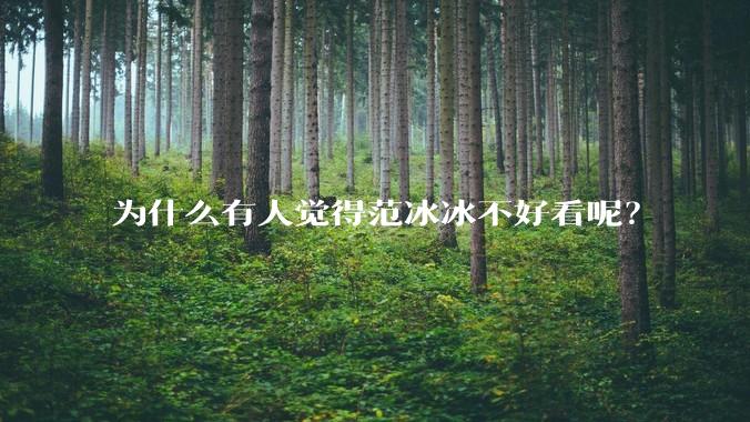 为什么有人觉得范冰冰不好看呢？