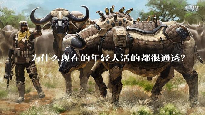 为什么现在的年轻人活的都很通透？