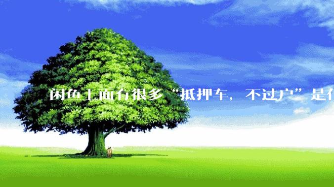 闲鱼上面有很多“抵押车，不过户”是什么意思？可以买吗？有什么套路？