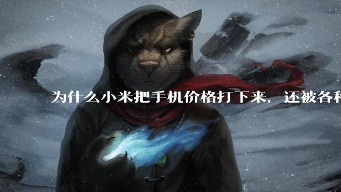 为什么小米把手机价格打下来，还被各种人骂？