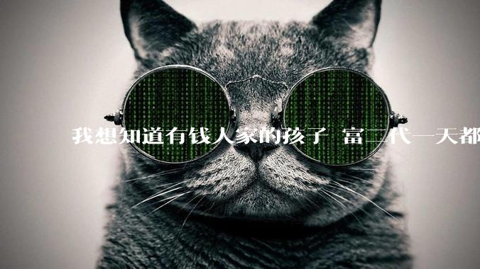 我想知道有钱人家的孩子 富二代一天都在干啥呢？