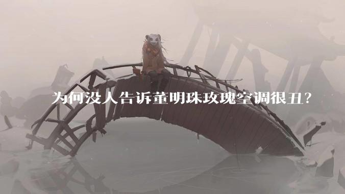 为何没人告诉董明珠玫瑰空调很丑？