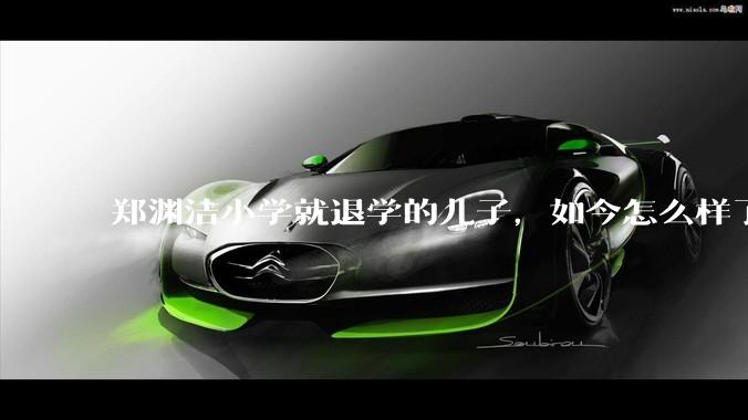 郑渊洁小学就退学的儿子，如今怎么样了？