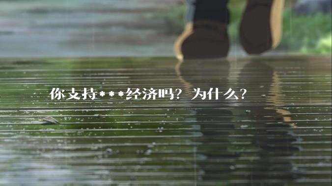 你支持***经济吗？为什么？