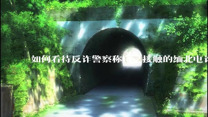 如何看待反诈警察称自己接触的缅北电诈人员案例里，95%的人都是自愿过去的？