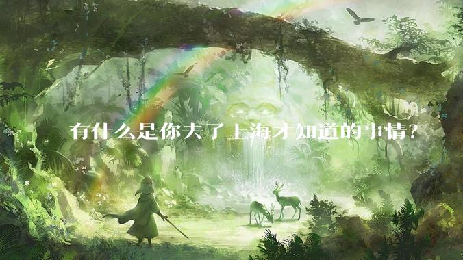 有什么是你去了上海才知道的事情？
