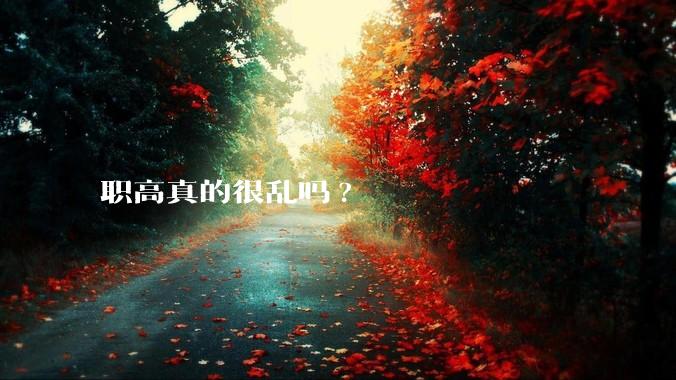 职高真的很乱吗?