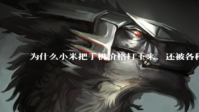 为什么小米把手机价格打下来，还被各种人骂？