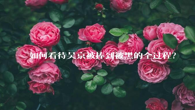 如何看待吴京被捧到被黑的全过程？
