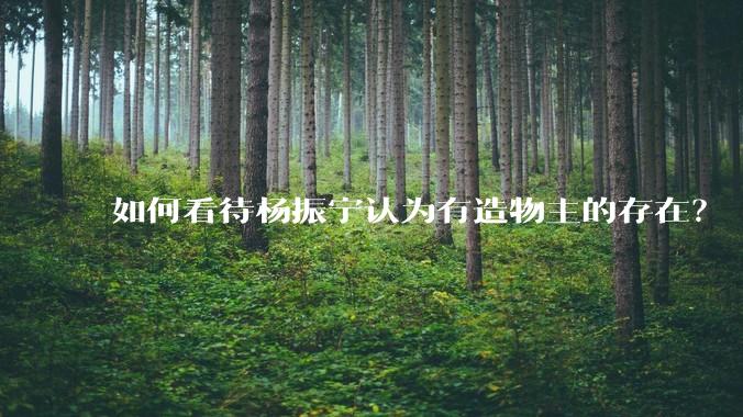 如何看待杨振宁认为有造物主的存在？