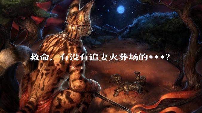 救命，有没有追妻火葬场的***？